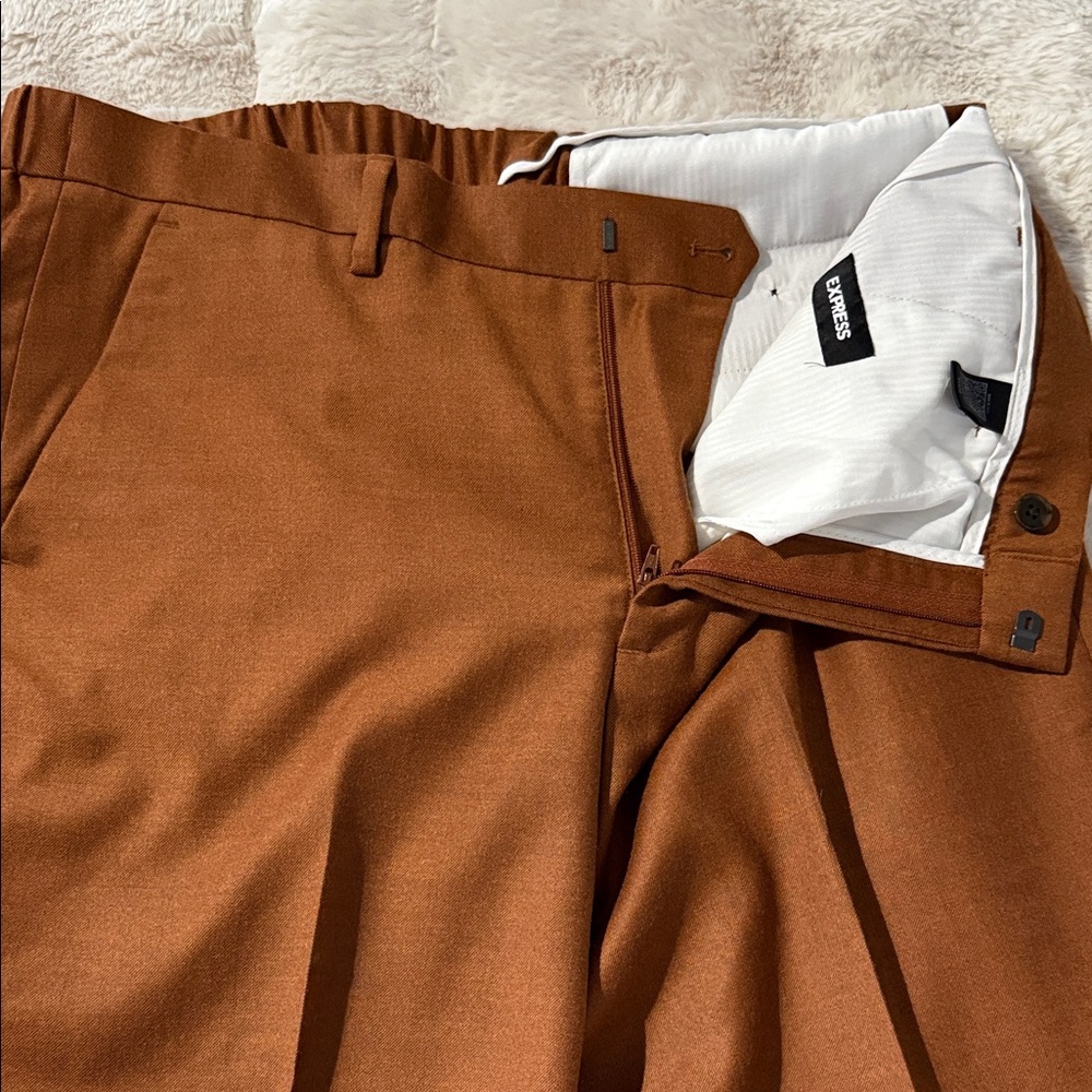 Express Men's Dress Pants in Brown